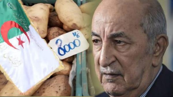 "البطاطا" تلقي بوزير الفلاحة الجزائري خارج حكومة نظام الكابرانات!